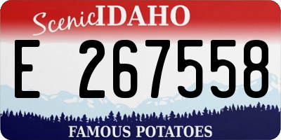 ID license plate E267558