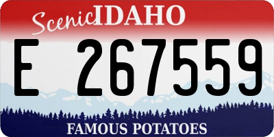 ID license plate E267559