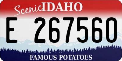 ID license plate E267560