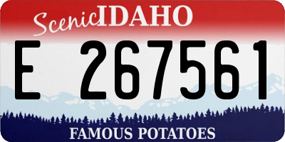 ID license plate E267561