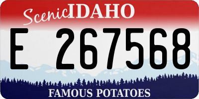 ID license plate E267568