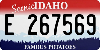 ID license plate E267569