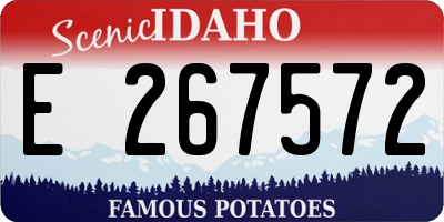 ID license plate E267572