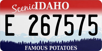 ID license plate E267575