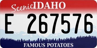 ID license plate E267576