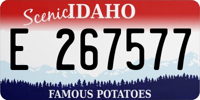 ID license plate E267577