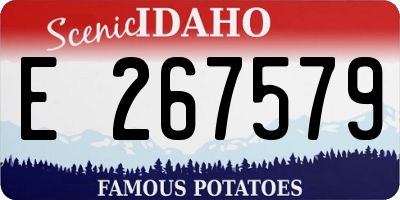 ID license plate E267579