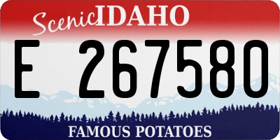 ID license plate E267580