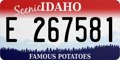 ID license plate E267581