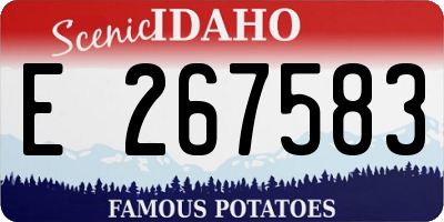 ID license plate E267583