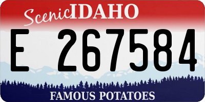 ID license plate E267584