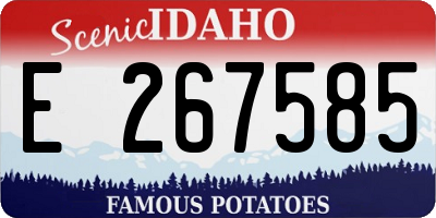 ID license plate E267585