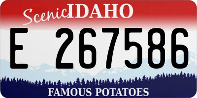 ID license plate E267586