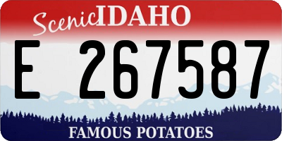 ID license plate E267587