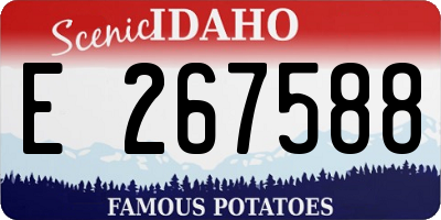 ID license plate E267588