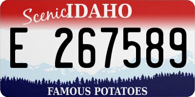 ID license plate E267589