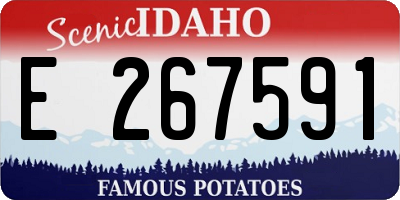 ID license plate E267591