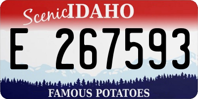ID license plate E267593