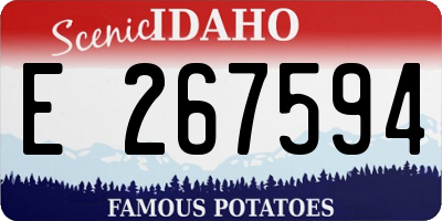 ID license plate E267594