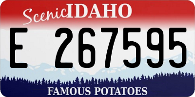 ID license plate E267595