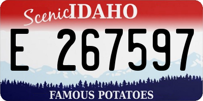 ID license plate E267597