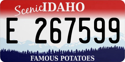 ID license plate E267599