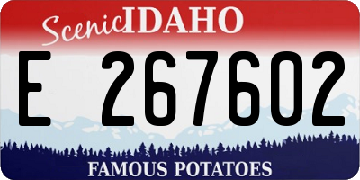 ID license plate E267602