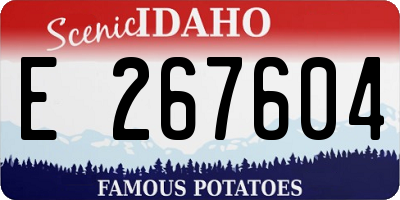 ID license plate E267604
