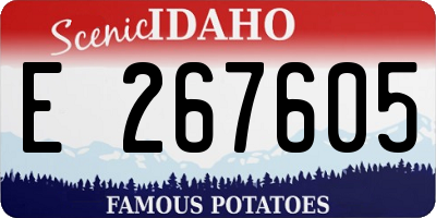 ID license plate E267605