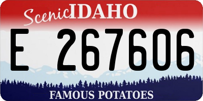 ID license plate E267606
