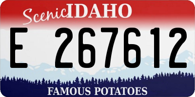 ID license plate E267612
