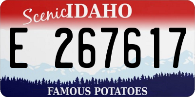 ID license plate E267617