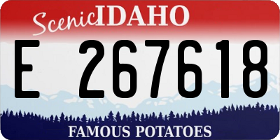 ID license plate E267618
