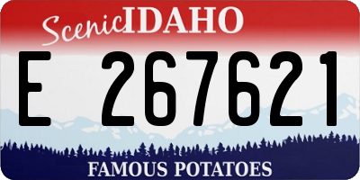 ID license plate E267621