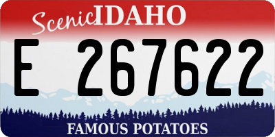 ID license plate E267622