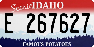 ID license plate E267627