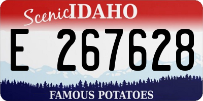 ID license plate E267628