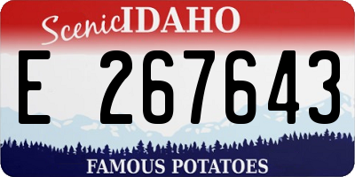ID license plate E267643