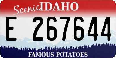 ID license plate E267644