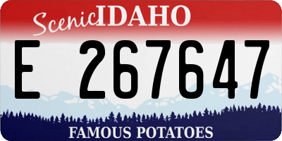 ID license plate E267647