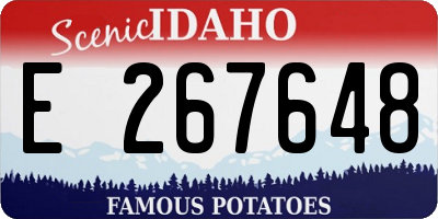 ID license plate E267648