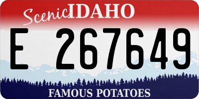 ID license plate E267649