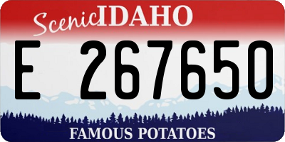 ID license plate E267650