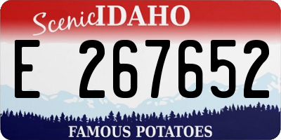 ID license plate E267652