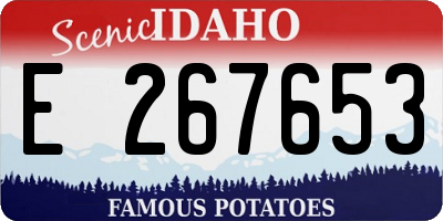 ID license plate E267653