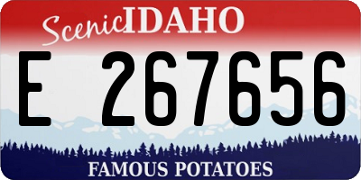 ID license plate E267656