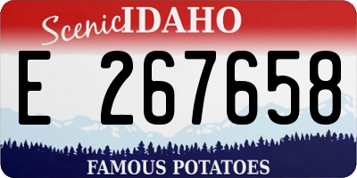 ID license plate E267658