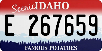 ID license plate E267659