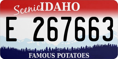 ID license plate E267663