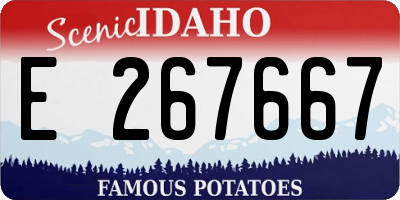 ID license plate E267667